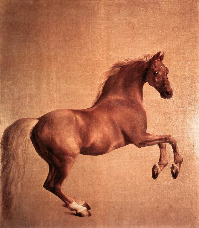 STUBBS, George Whistlejacket r oil painting picture
